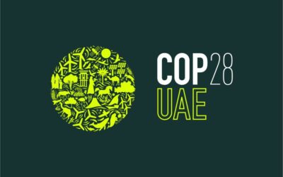 Peter Love’s Reflections On COP28