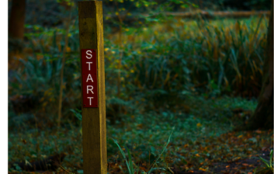 Letter from the Board Chair